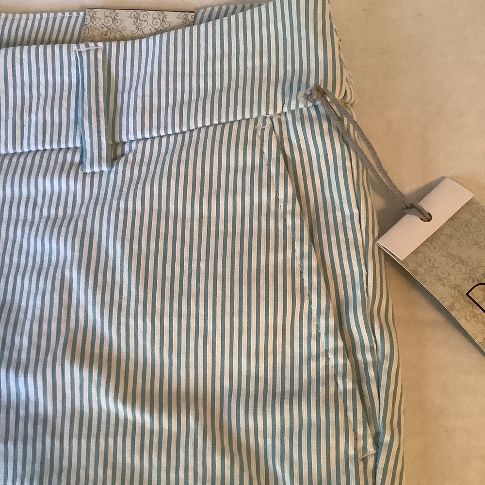 Dalia City Fit Striped Shorts Size 4 New - Picture 5 of 15